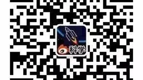 2026赛季焦点对决爱游戏app：桑托斯弗拉门戈深度解析